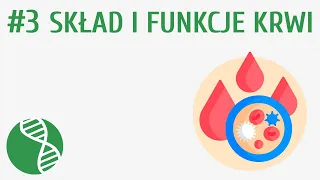 Skład i funkcje krwi #3 [ Krążenie ]