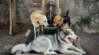 Hundewetter in Italien: Hagelstürme im Norden, bis zu 45 Grad im Süden