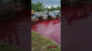 Air Sungai Mendadak Jadi Merah D*r4h - Jombang News