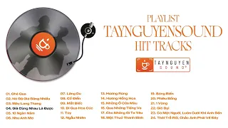 PLAYLIST TAYNGUYENSOUND HIT TRACKS