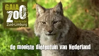 GaiaZOO Kerkrade: de mooiste dierentuin van Nederland!