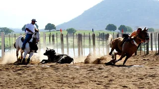 Bolão de vaquejada Agrovila 23  Março 2023  fase classificatória.