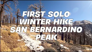 First Solo Winter Hike San Bernardino Peak 4K Via Angeles Oaks ft. AUSTIN SMITH AND JORDAN BENAVIDEZ