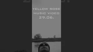 29.06.+++Para Lia +++ Yellow Rose +++Musikvideo #shorts