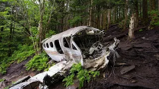 Четверо детей выжили в авиакатастрофе и бродили по джунглям две недели в Колумбии