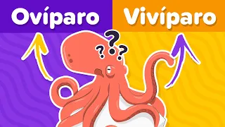 ¿Cuanto sabes de Zoología? - Animales Vivíparos y Ovíparos🥚🐬🤔 | Trivia de cultura general | Quiz