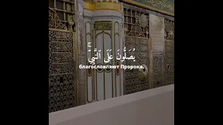 Сура 33 Аль-Ахзаб (Союзники)Аят {56}Чтец: Omar Mahguob: #subhanallah #alhamdulillah #allahuakbar