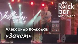 Александр Волкодав - Зачем (The Rock Bar, Краснодар, 26.04.2024) #александрволкодав #голос #voice