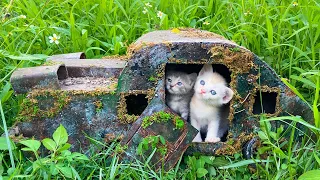 Rescued Kitten From An Old Abandoned Car - Before And After Building Wonderful Hello Kitty House