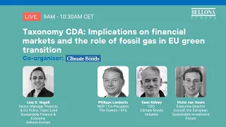 Taxonomy CDA Implications on financial markets and the role of fossil gas in EU green transition