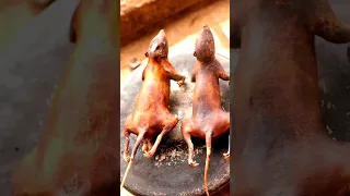 Primitive Technology - Wow! Amazing Cooking in the Forest