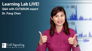 Reasons to Try CUT&RUN to Analyze Protein-DNA Interactions | Learning Lab LIVE!