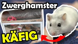 Zwerghamster bekommt neues Zuhause💖 PIMP MY HAMSTER KÄFIG 🐹Artgerechte Hamsterhaltung DIY🐾🎬♥