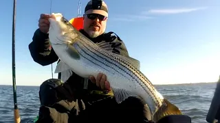 How to Catch Striped Bass When Bait Outnumbers the Bass - Raritan Bay Kayak Fishing
