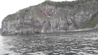 知床ゴジラ岩観光　クルーズ 2014年9月