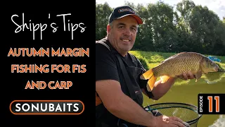 SHIPP'S TIPS - Episode 11 - Autumn Margin Fishing For F1s & Carp