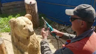 Bear Sculpture chainsaw carving #chainsawcarving #woodcarving #woodworking