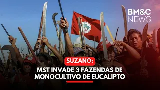 MST INVADE 3 FAZENDAS DE MONOCULTIVO DE EUCALIPTO DA SUZANO | TOP NEWS