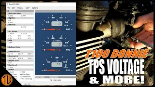 Freddie Dobbs' Bonneville | Throttle Position Sensor & more issues!