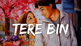 Tere Bin - (Slowed+Reverb) Song | Yaseer Desai | Javed Mohsin | Zayn Ibad khan | Khushi Dubey | DRJ