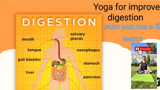 Yoga to improve digestion | Digest your food in 10 minutes| Best digestive yoga #digestion #yoga