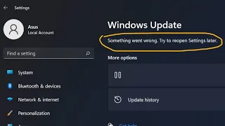 How to fix windows 11 update error "Something went wrong. try to reopen settings later"