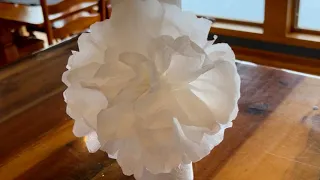 Cómo hacer flores en papel toalla #detalles #rosas #flores #details #paperart