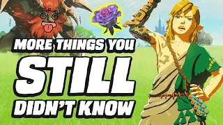 27 MORE Things You STILL Didn't Know In Zelda Tears Of The Kingdom