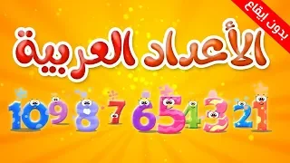 الأعداد العربية (بدون إيقاع) - طيور بيبي Toyor Baby