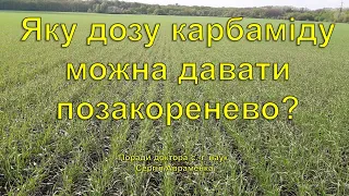 Яку дозу карбаміду можна вносити по листу?