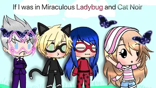 If I was in miraculous ladybug and catnoir cartoon/ep1