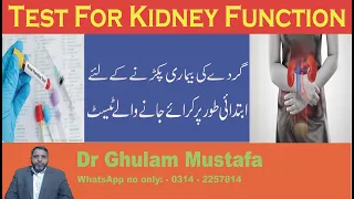 Test For Kidney Function