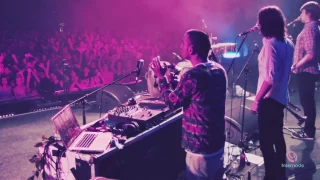 The Cat Empire - The Wine Song (LIVE at WOMADelaide 2013)
