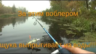 Этот воблер вытащил всю рыбалку!!! DUO Realis Jerkbait 120SP от BEARKING!!!