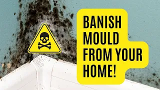 🌿 HOW TO GET RID OF BLACK MOULD FOREVER! 🌿 Stop Mould in Its Tracks and Keep Your Home Mold-Free!