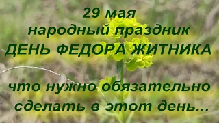 29 мая народный праздник День Фёдора Житника. Народные приметы и поверья