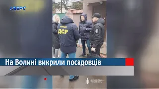 На Волині викрили посадовців, які заробили мільйон на «мертвих душах»