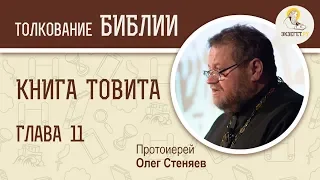 Книга Товита. Глава 11. Протоиерей Олег Стеняев. Библия. Ветхий Завет