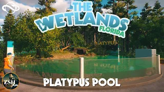 The Wetlands - Platypus Pool! ¦ Planet Zoo Wetlands Animal Pack