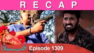 RECAP : Priyamanaval Episode 1309, 04/05/19