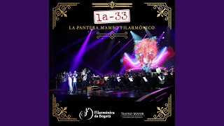 La Pantera Mambo Filarmónico (En Vivo desde el Teatro Mayor Julio Mario Santo Domingo)