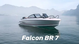 Falcon BR 7