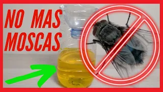 🦟 LA MEJOR TRAMPA PARA MOSCAS CASERA. INGREDIENTE SECRETO