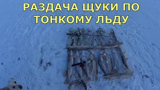 Раздача щуки по тонкому льду. На рыбалку всей семьёй.