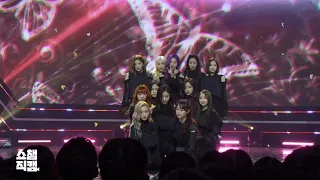 [Show Champion close up 138] 이달의소녀 - Butterfly