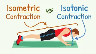 Isometric Contraction vs Isotonic Contraction || Physiology with Animation