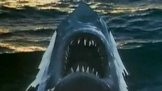 Bantam Books - Jaws 2 - "The Terror Continues" (Commercial, 1978)