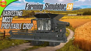 "Soybean"  The Most Profitable Crop in Farming Simulator 20!