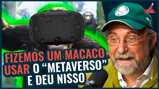 METAVERSO e a VIDA REAL