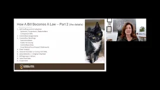 Lobbying 101: How to Advocate for Animals webinar